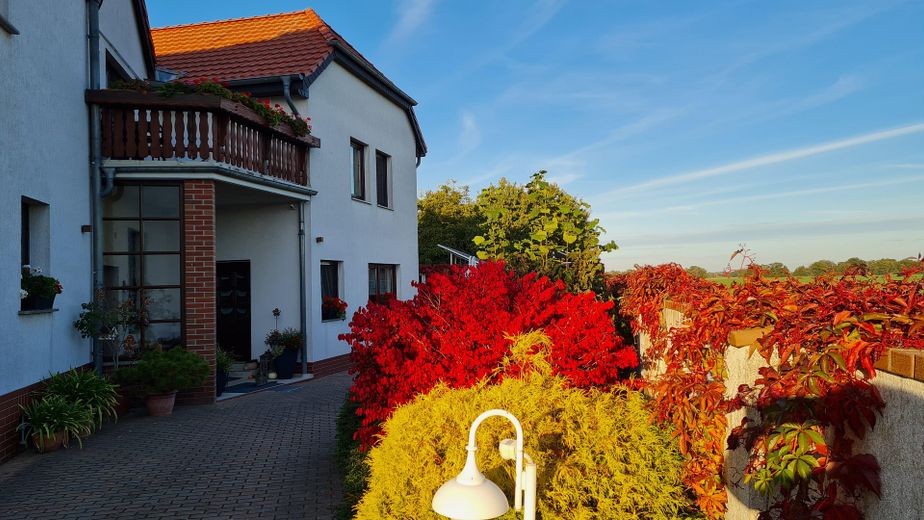 Haus mit Garten und Pool, unweit von Jessen/E. und Holzdorf-Ost – Hofeinfahrt
