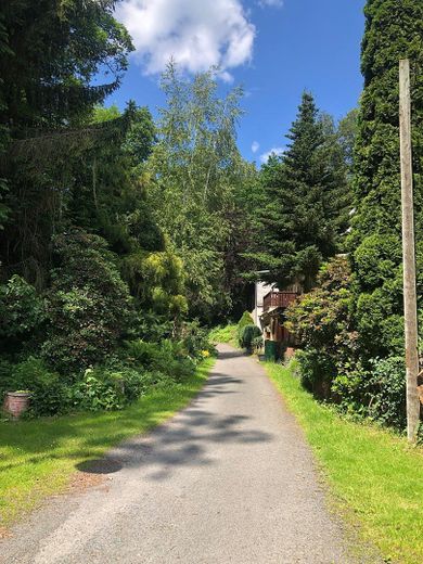 Königsfeld, EFH – Foto 15