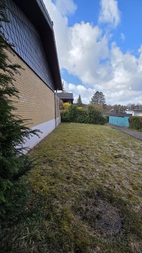 Rasenfläche hinter dem Haus