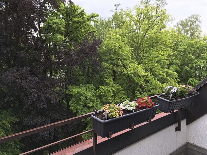 Am Klostergarten: Stadtjuwel in Landshut, Dachgeschoss, absolut ruhig, sonnig, Blick ins Grüne, zentral – Foto 2