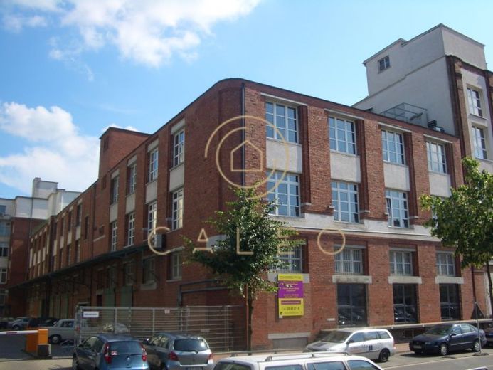 CALEO ¦ Ostend ¦ 4.000 m² - 6.800 m² ¦ Preis auf Anfrage ¦ PROVISIONSFREI – Foto 1