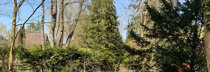 Aantrekkelijk bouwperceel op gewilde locatie in Buchholz-Steinbeck – 794 m²