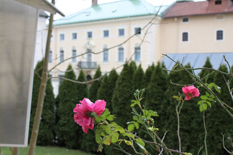 Blick aus dem Fenster