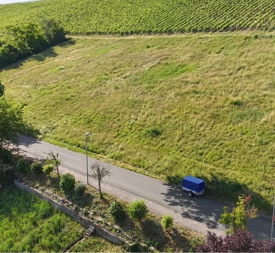 Lotto edificabile urbanizzato I posizione ai margini dei campi e versante sud sul vigneto – Grundstück (gerodet)