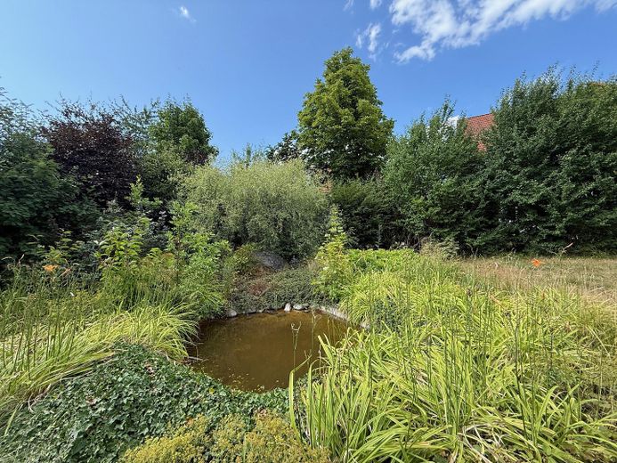 Viel Raum zum Leben: Riesige Landhausvilla in Neuhof/Fulda! – Gartenteich