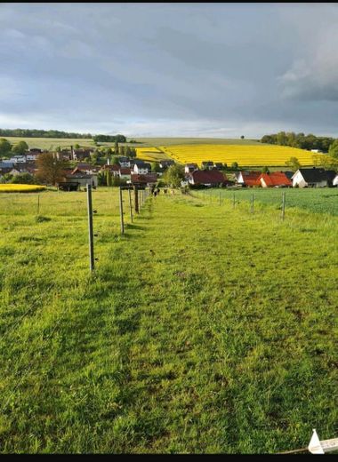 Bebra-OT, Landhaus + Pferdehof – Foto 18