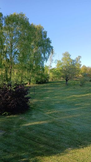 Inselidyll mit Boddenblick: Großes Grundstück & Ferienhaus-Potenzial auf Rügen – Garten mit Obstbäumen
