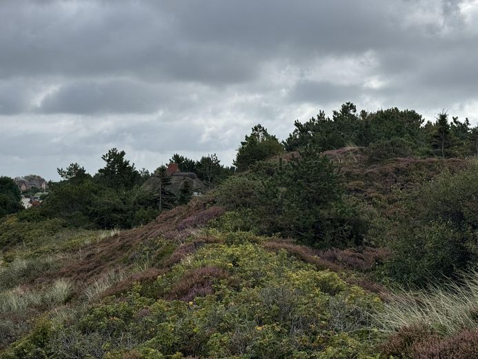 Ansicht Haus von den Dünen aus