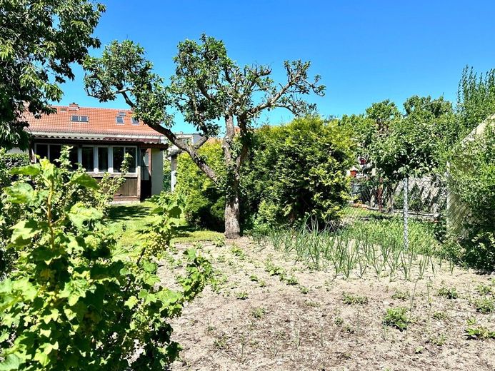 HORN IMMOBILIEN ++ gepflegtes Reihenmittelhaus in Ueckermmünde, nur ca. 1 km vom Strand entfernt – Gemüsegarten