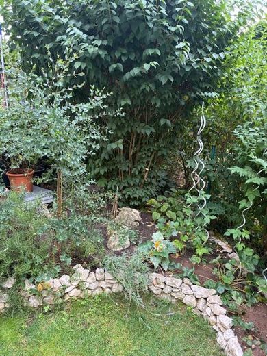 Gartenparadies