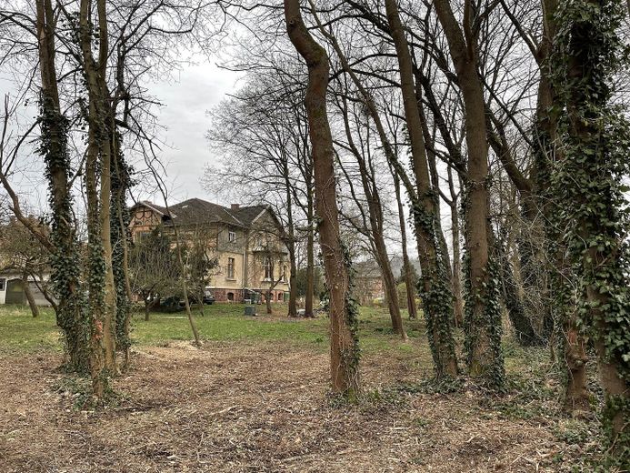 Idyllische Villa/Mehrfamilienhaus in grünem Erholungsort (Harz) - mit Ausbau-/Investmentpotential – Garten hinter Villa