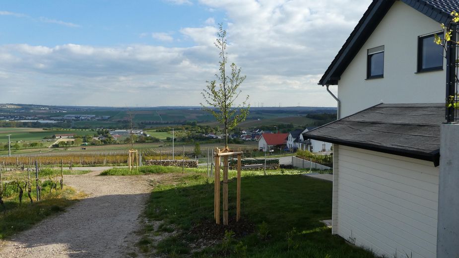 Essenheim’de seçkin ikiz ev – Geniş manzaralı, en üst düzeyde yaşam – seitlicher Garten mit Ausblick