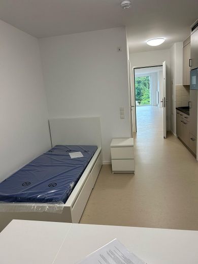 Bonn-Südstadt’ta Yaşam | Yeni Değerinde, Tam Eşyalı Mikro Daireler (18 qm/32 qm) – Fotoğraf 6