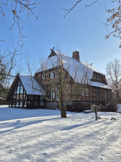 Landhaus unweit von Schwerin - Nachlaß bei zügiger Übernahme – Blick aus Nord mit Apfelbäumen