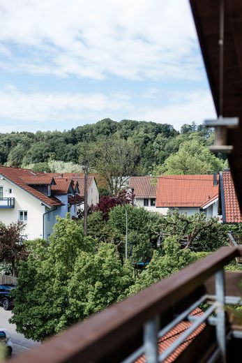 Aussicht auf den Bergwald