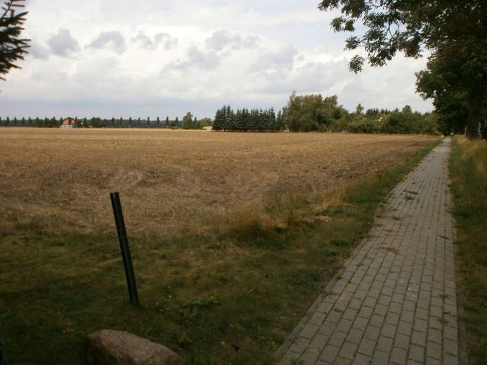 Wegen Auswanderung: 2.270m2 Bau-Grundstück bei Greifswald / Ostsee – Grundstücksansicht 1
