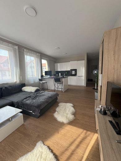 Offenes Wohn -und Esszimmer
