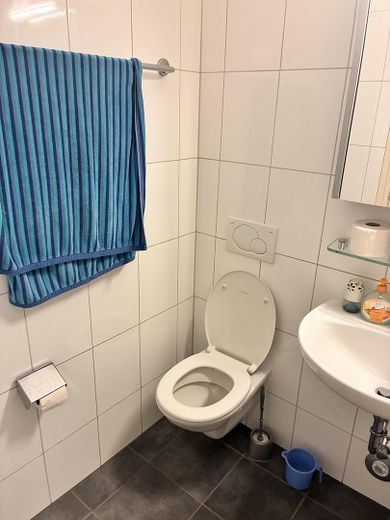 1-Zimmer Appartement in Frankfurt Sachsenhausen | Balkon | Möbliert | Leerstehend – WC