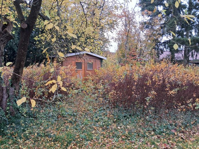Spazio per 2 famiglie – Geräteschuppen