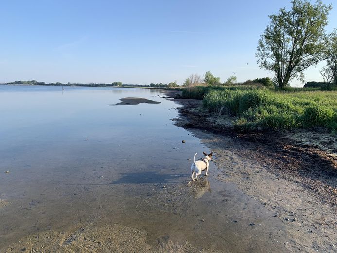 Bodden