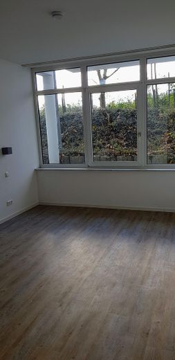 1-Zimmer-Appartement mit Küche und Stellplatz – direkt an Mainzer Stadtgrenze – Foto 3