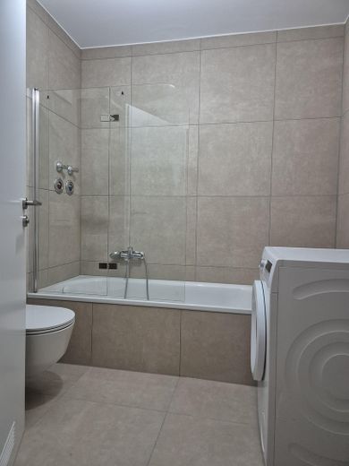 Moderne 1-Zi-Wohnung mit großzügiger Küche und Tiefgaragenplatz in LU a.R. – Bad/WC