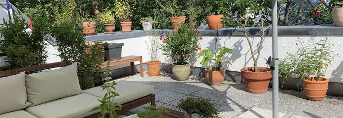 Provisionsfrei: Lichtdurchflutete DG-Maisonette mit 24m² Dachterrasse in Potsdam-Babelsberg – Dachterrasse