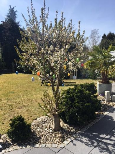 Ostern - alle Jahre-