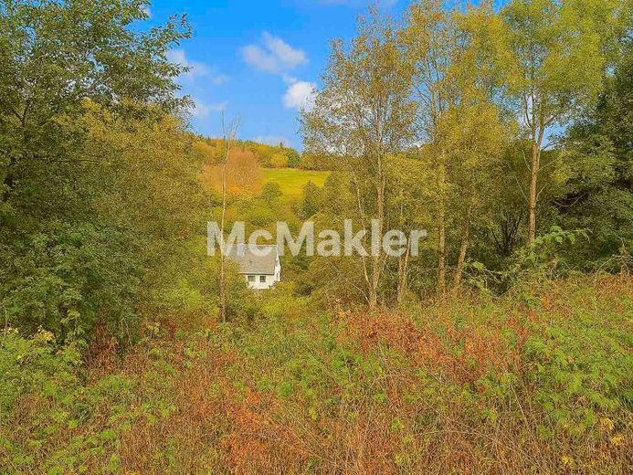Attraktives Hanggrundstück mit Panoramablick in Winterberg-Silbach – Foto 1
