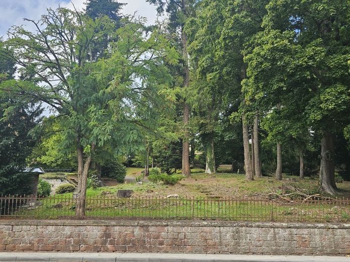 Schöne Grundstücke sind selten geworden: Bauplatz, 900 m² im Park mit altem Baumbestand - zugreifen! – 5264 - Bauplatz Ansicht von Süden