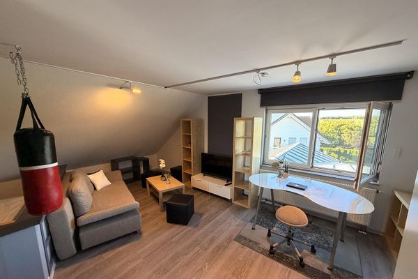 Attic apartment in a quiet peripheral location with a parking space in front of the house – optionally furnished –