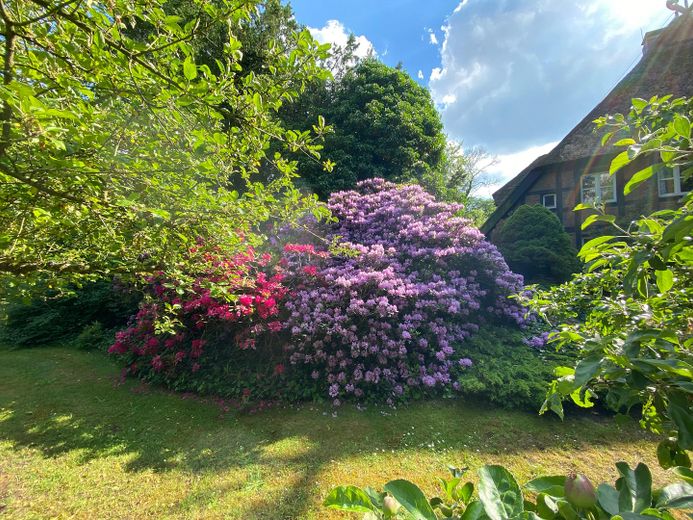 Pferdehof / Resthof, exkl. Anwesen nur 1 Auto-Stunde von Hamburg - optional bis 30 ha Eigenland – Garten