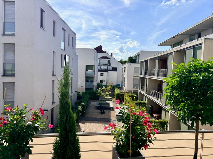 Großzügige 4-Zimmer-Wohnung mit sonniger Terrasse in bester Lage von Ingelheim – Blick Terrasse