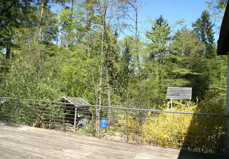 Bungalow mit Potential in ruhiger Lage – Ausblick Terrasse