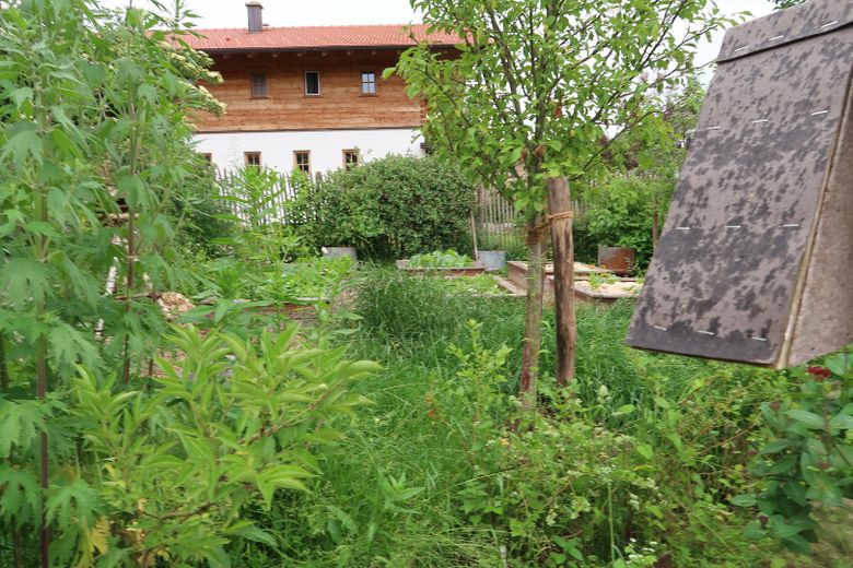Besonderes Haus mit zeitloser Architektur & ELW am Simssee – Foto 26