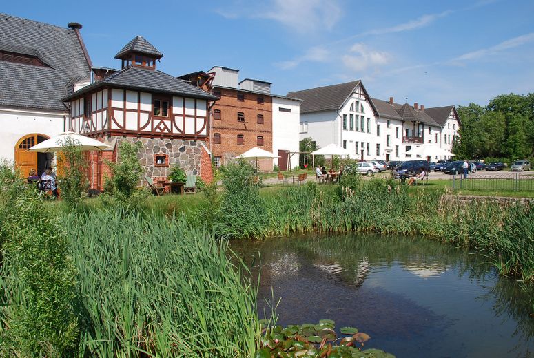 Atelier/Praxis/Gastro/Touristik/Büro/LOFT +++ in GUTSANLAGE (12 Geb. + 6 ha. Gr.) Nähe Müritz! – Innenhof der Anlage