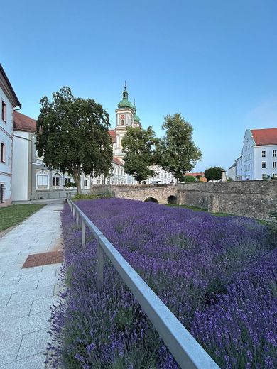 Wunderschöne 1,5 Zimmer Wohnung ab sofort – Klostergarten
