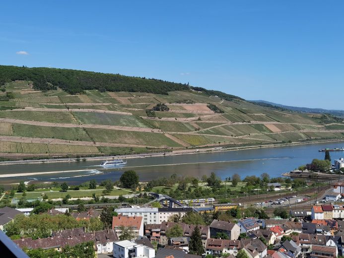 Blick auf die Weinberge