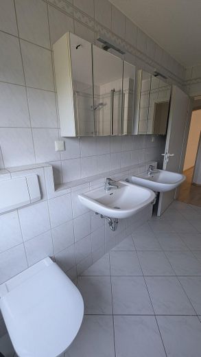 Sonnenverwöhnte 4-Zimmer Wohnung mit EBK am Waldrand von Dreieich-Dreieichenhain – Waschbecken im Bad