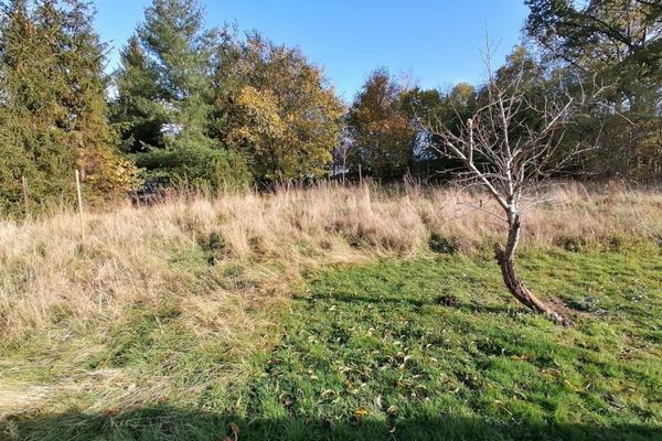 Baulücke in Idyllischer Lage, ca. 787 m² Grundstücksfläche!