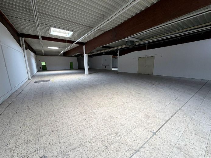 Gewerbehalle mit Bürofläche in Minden –sofort verfügbar/optimale Erreichbarkeit (Kreuz B428/B65) – Foto 3