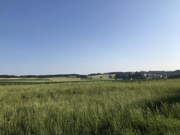 Nord - Ansicht aus Garten