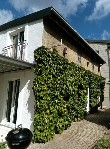 Modernized semi-detached house with view of the Schlei No commission from private seller ... living like on vacation! – Nebengebäude