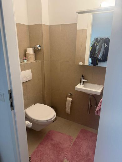 Renovated 3-room apartment with fitted kitchen and south-facing loggia in Kirchdornberg – Gäste WC