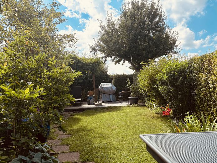 Garten im Sommer