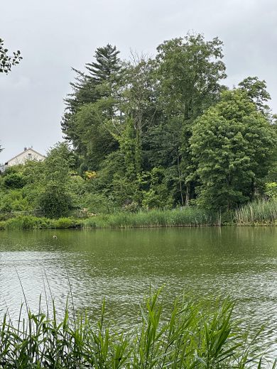 Exklusives Grundstück am Cappenberger See – Foto 5