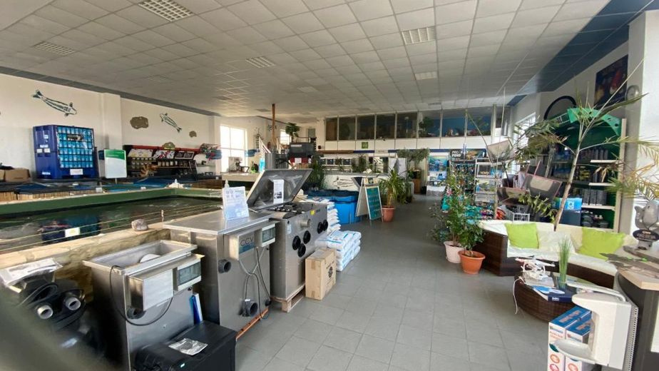 Bild 10