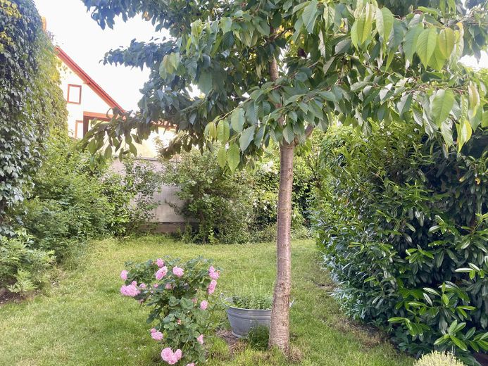 Großzügiges historisches Landhaus mit Studioatelier - familienfreundlich, Nähe Berlin, See & Wald – Innenhof mit Garten