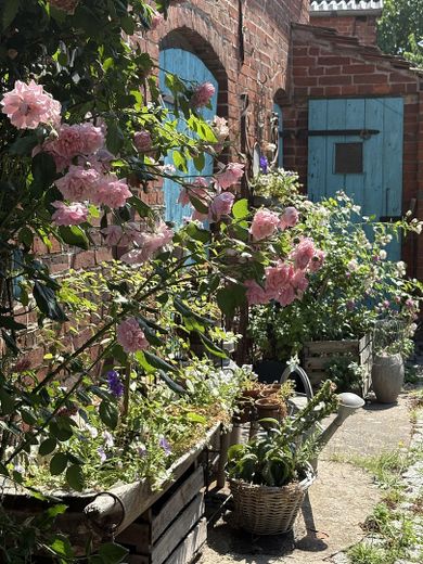 Ein Stück vom Paradies in Elb-Nähe - saniertes Bauernhaus mit Vintage-Charme – Blütenmeer