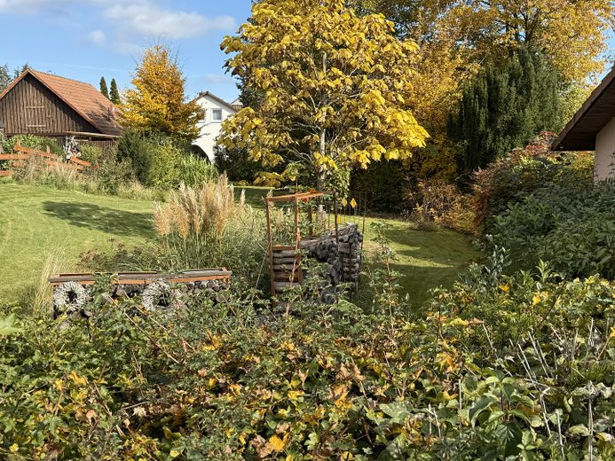 Blick ins Grundstück